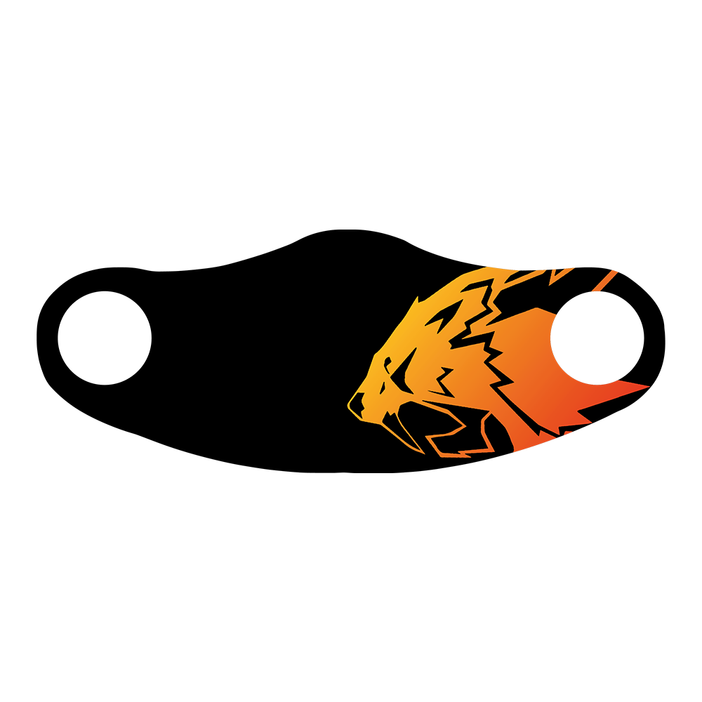 Mascherina in tessuto